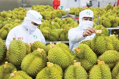 Illustrative photo (Photo: vneconomy.vn)