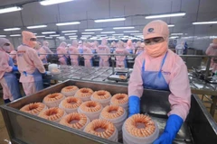 Shrimp processed for export at a Minh Phu Group plant. Several international institutions have lowered Vietnam’s economic growth forecast to between 6 and 6.2% in 2025 due to global policy uncertainty. (Photo: VNA)