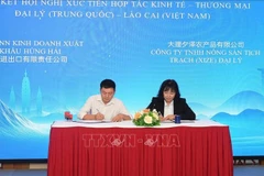 Lao Cai and Dali businesses sign cooperation agreement (Photo: VNA)
