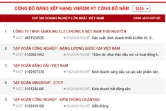 The list of top 500 largest enterprises in Vietnam 2025