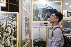 A young visitor at the exhibition. (Photo: VNA)