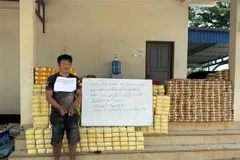 Lao authorities detain a suspect and seize 4,405 packages containing a total of 8.81 million methamphetamine tablets, weighing about 881 kilogrammes. (Photo published by VNA)