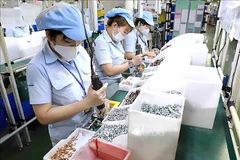 Workers at a foreign factory in HCM City. (Photo: VNA)