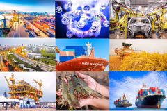 Programme pushes Vietnam’s international market expansion for 2026–2030