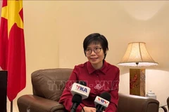 Ambassador Ton Thi Ngoc Huong, Permanent Representative of Vietnam to ASEAN. (Photo: VNA)