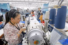 Apparel is a major contributor to Vietnam's exports. (Photo: VNA)