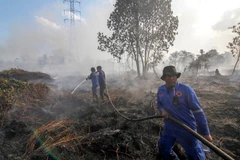 Firefighters try to extinguish a forest fire in Pekanbaru, Riau province, Indonesia. (Photo: XINHUA/VNA)