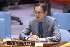 Ambassador Do Hung Viet, Permanent Representative of Vietnam to the UN, speaks at the discussion. (Photo: VNA)