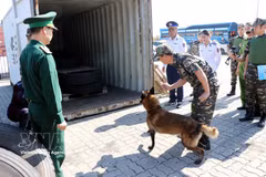 A customs anti-drug exercise demonstrates the use of container scanners, detection dogs, handheld drug-testing devices and specialised equipment to uncover narcotics hidden inside a cargo container. (Photo: VNA)