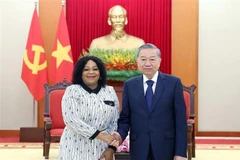 Party General Secretary To Lam (R) and First Deputy Secretary General of South Africa's African National Congress (ANC) Nomvula Mokonyane at their meeting on May 20 in Hanoi. (Photo: VNA)