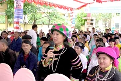 Illustrative image (Photo: VNA)