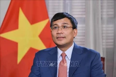 Permanent Deputy Foreign Minister Nguyen Minh Vu (Photo: VNA)