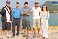 The sea turtle is rescued by local fishermen. (Source: baoquangngai.vn)