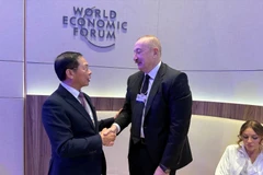 Deputy Prime Minister Bui Thanh Son (left) meets with Azerbaijani President Ilham Aliyev in Davos. (Photo: VNA)