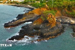 Da Dia Reef in Tuy An district, Phu Yen province (Photo: VNA)