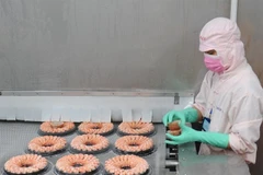 A worker processes shrimp for export. (Photo: VNA)