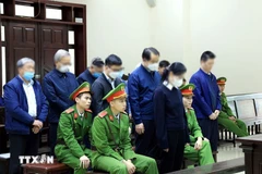 Defendants at the court (Photo: VNA)