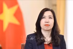 Deputy Minister of Foreign Affairs Le Thi Thu Hang (Photo: VNA)