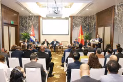 Prime Minister Pham Minh Chinh speaks at the meeting. (Photo: VNA)