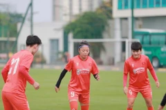 Illustrative image (Photo: vff,org.vn)
