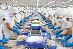 Processing seafood for exports (Photo: VNA)