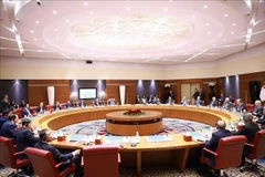 At the talks between Prime Minister Pham Minh Chinh and his Algerian counterpart Sifi Ghrieb in Algiers on the morning of November 19 (local time). (Photo: VNA)