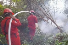 Indonesia sees rise in wildfire hotspots as dry season comes