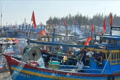 Bac Lieu province has 862 fishing vessels, of which 847 are officially registered, accounting for 96.87% of the fleet. (Photo: VNA)