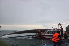 Rescue forces approach the sunken vessel to carry out search and rescue operations. (Photo: VNA)