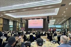 Overview of the summit (Photo: VNA)