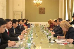 The meeting between the delegation from the Ho Chi Minh National Academy of Politics and the Czech Senate. (Photo: VNA)