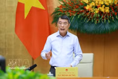 Prime Minister Le Minh Hung speaks at the meeting (Photo: VNA)