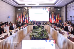 Delegates attend the the 22nd ASEAN Ministerial Meeting on Science, Technology and Innovation (AMMSTI-22), held in Vientiane, Laos, on June 26. (Photo: VNA)