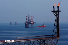 Oil rigs at the Bach Ho oil field. (Photo: VNA)