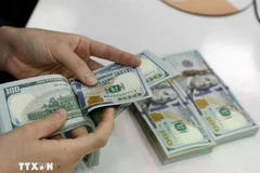 The State Bank of Vietnam set the daily reference exchange at 25,131 VND/USD on July 10. (Photo: VNA) 