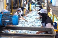 Plastic shock ripples through Indonesia’s food industry