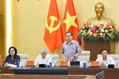 National Assembly Chairman Tran Thanh Man addresses the meeting (Photo: VNA)
