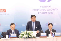 Deputy Prime Minister Nguyen Chi Dung speaks at the forum. (Photo: VNA)