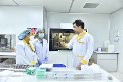 Dr. Vo Sy Nam (right) discusses genome sequencing technology with his colleagues. (Photo: VGP)