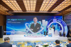 Nguyen Xuan Viet, Chairman of the Insurance Association of Vietnam, speaks at the summit. (Photo: VNA)