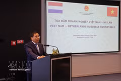 Deputy Prime Minister Nguyen Van Thang speaks at the Vietnam-Netherlands Business Roundtable in Amsterdam on July 30. (Photo: VNA)