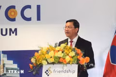 Vice Chairman of the municipal People’s Committee Nguyen Cong Vinh speaks at the event. (Photo: VNA)