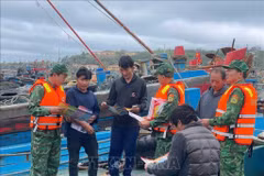 Border guard coordinate with coast guard forces to raise fishermen's awareness against IUU fishing at Bach Long Vi port. (Photo published by VNA)