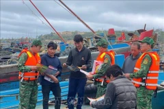 Border guard coordinate with coast guard forces to raise fishermen's awareness against IUU fishing at Bach Long Vi port. (Photo published by VNA)