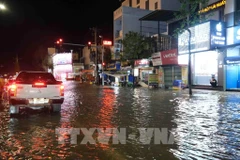 High tides hit many areas in Can Tho city. (Photo: VNA)
