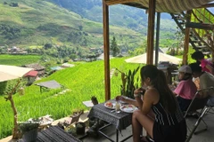 Coffee shops overlooking lush green terraced fields and set close to nature in Ta Van, Lao Cai province, are popular with visitors. (Photo: VNA)