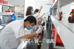 Students of Ton Duc Thang University practice biochemistry experiments (Photo: VNA)
