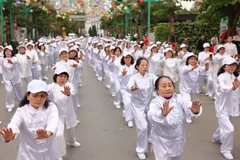 Vietnam officially entered the ageing population phase in 2011. (Photo: VNA)