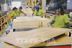 Workers in a wood factory (Photo: VNA)