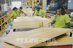 Workers in a wood factory (Photo: VNA)